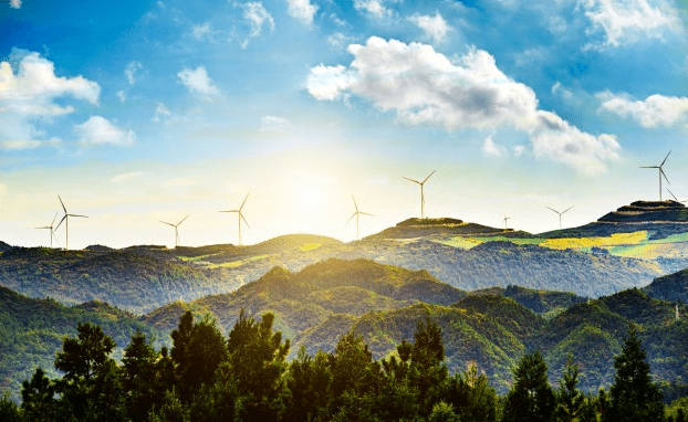 gestion endesa en Canarias